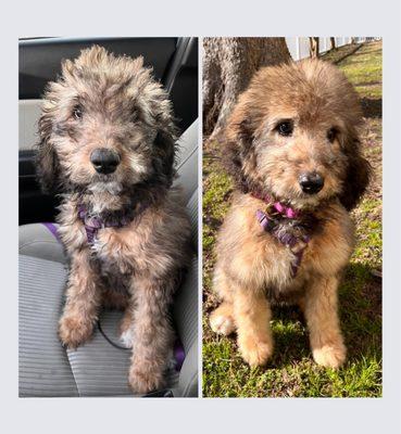 Before & After