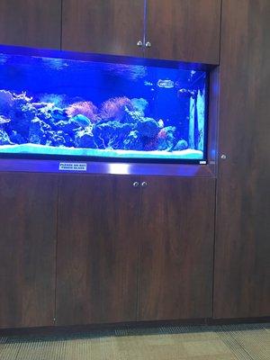 Preece, Church & Associates, Pediatric Dentistry