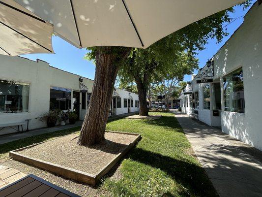 Four Seasons Skin Care and Spa