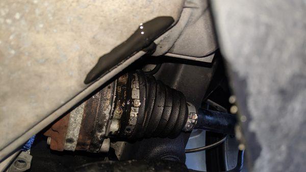 6 Days after leaving CJs