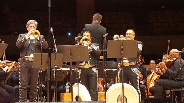 Mariachi Sol De Mi Tierra