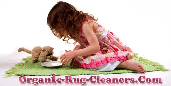 Organic Rug Cleaners