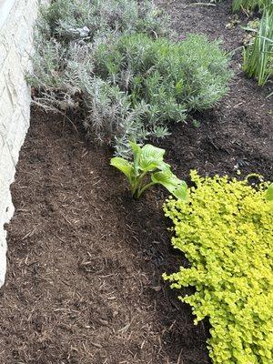 Mad River Topsoil & Mulch