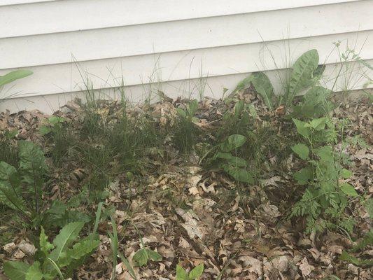 Greenland Lawn Maintenance