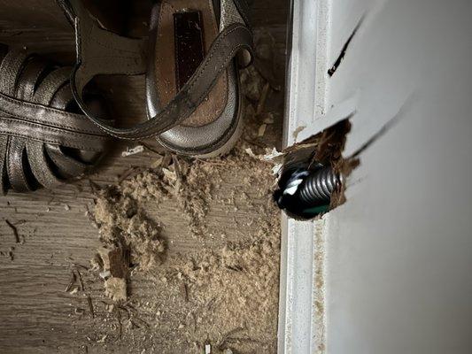 Hayk's Transportation