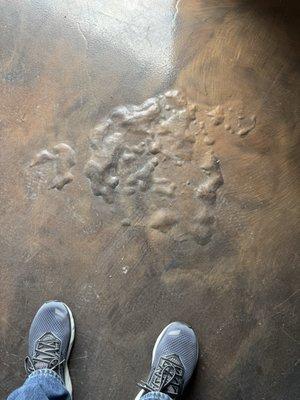 Garage floor with bubbling.