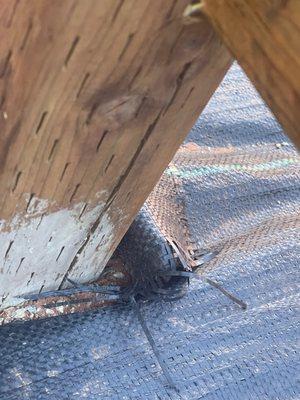 Quezadas Handyman Service