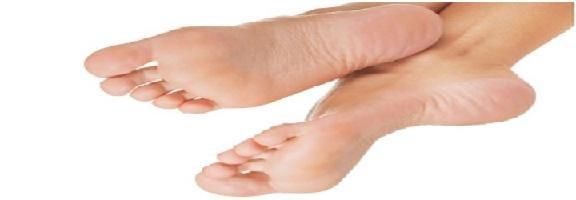 Thomas K Stickley, DPM