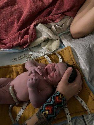 Catalina Clark - Midwife of Healing