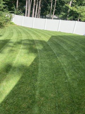 Lawn stripes looking beautiful! Don't wait until spring to get on our client list!