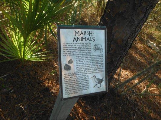 Marsh Island Park & Tower - Marsh Animals