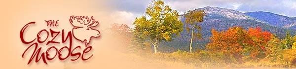 Fall beauty - Great spot for fall foliage vacation