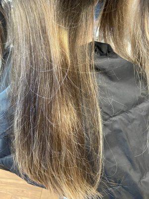 Chez Sabine Hair Design