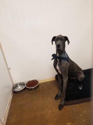 Rock River Pet Resort