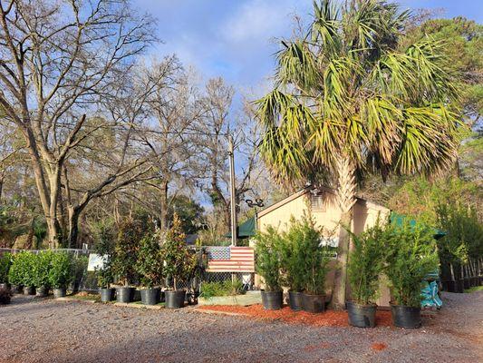 Angel Oak Nursery & Mulch