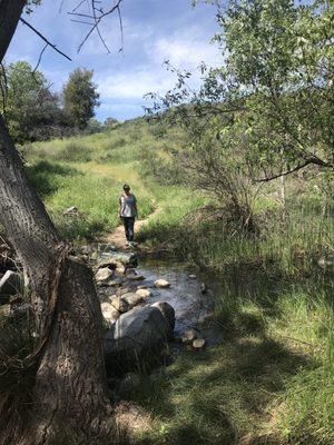 Warm Springs Canyon & Preserve