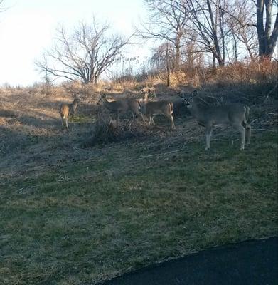 Warminster Community Park