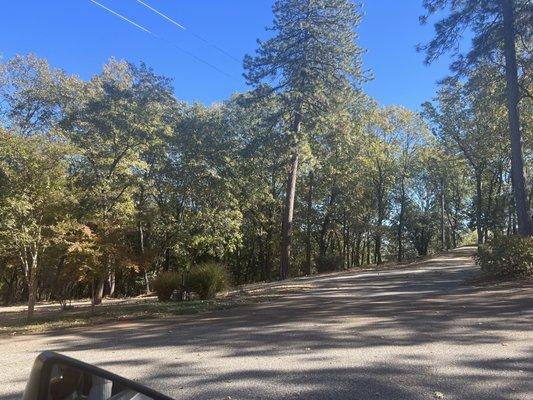 LUCCHESI Vineyards & Winery