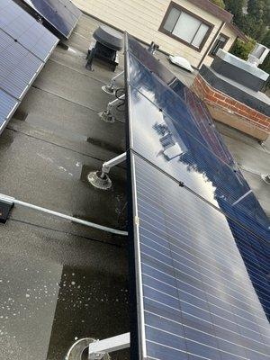 Rainier Exterior Cleaning