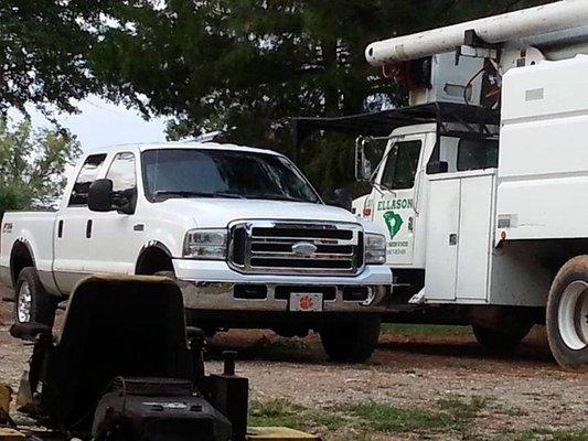 Ellason Tree Services