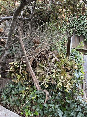 Joe's Cleanup and Hauling