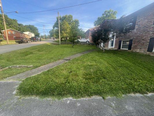 Quickly transformed into a great looking yard!