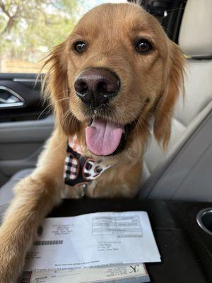 Country Tails Bed and Biscuit