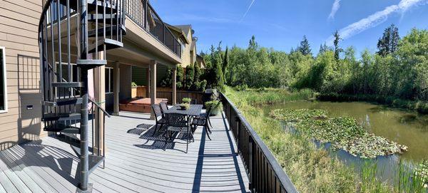 Absolute Maintenance