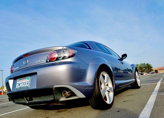 Sick Dawgz Detailing