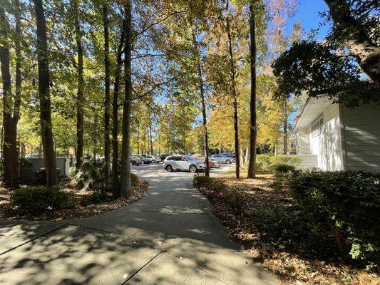 Berkeley County Library