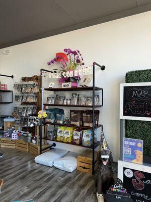 All natural and organic pet foods.