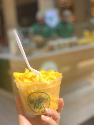 Mangobichemia
