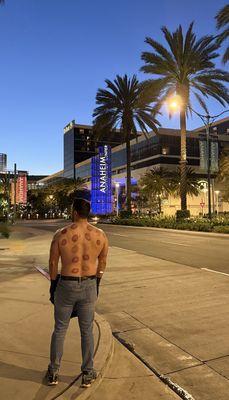 Z Professional Massage