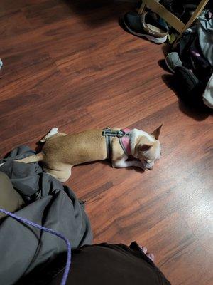 Red Bridge Animal Clinic