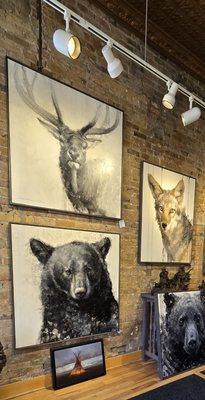 Mountain Trails Gallery