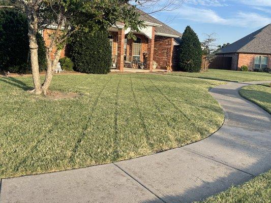 Gonzalez Lawn Services