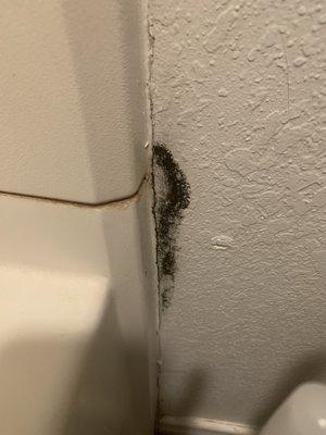 Mold coming out of the wall in the bathroom (final straw for us deciding to move)