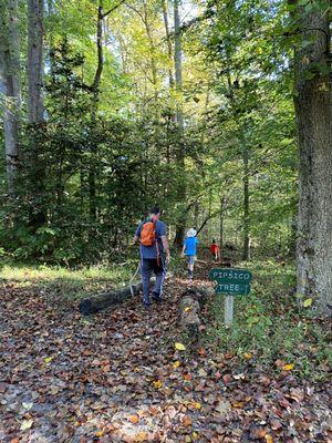 Pipsico Scout Reservation