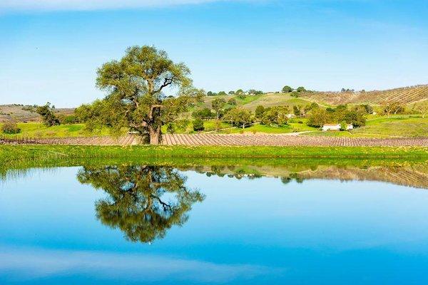 Distinctive Glassware