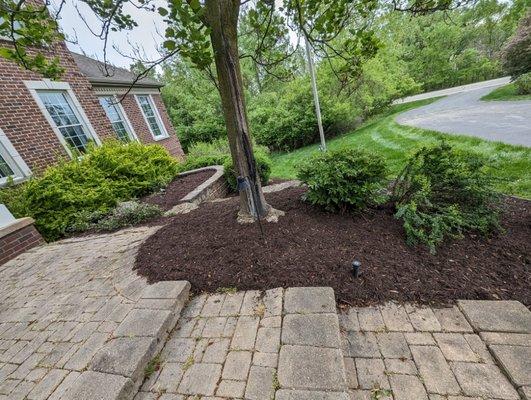 The Landscape Artisan