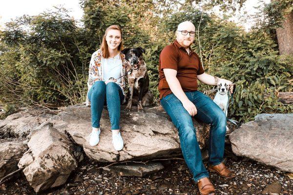 Whisker to Tail Pet Services