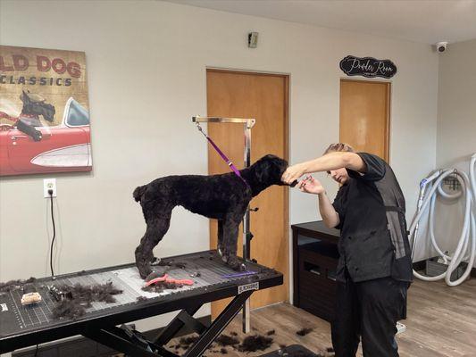 The Groom Station - Tipton