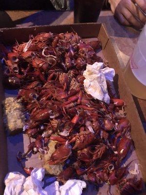 Crawfish