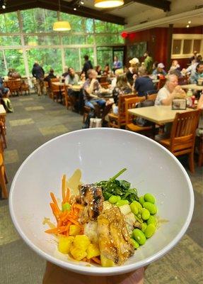 Teriyaki Bowl (half order)