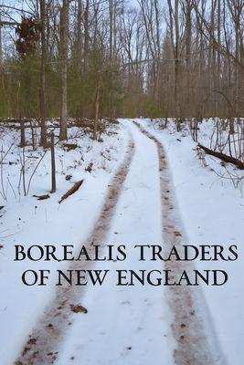Borealis Traders of New England