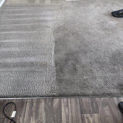 Green Carpet Cleaning