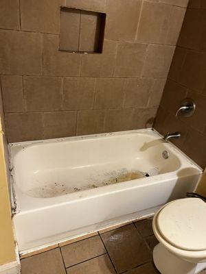 Blessings of All Pressure Junk Removal