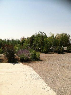 Skyview Landscape Nursery
