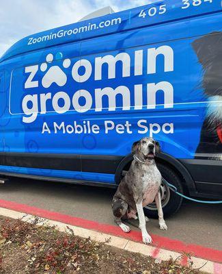Zoomin Groomin