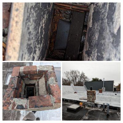 Potomac Pest Control